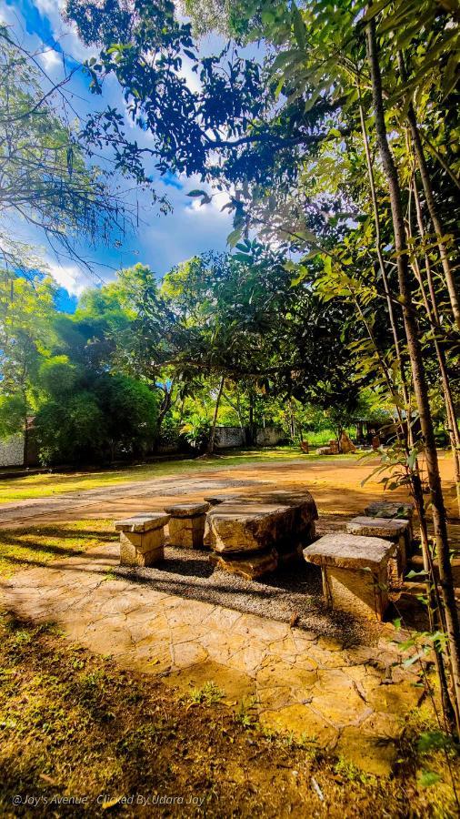 Hotel Jay'S Avenue Udawalawe Exterior foto