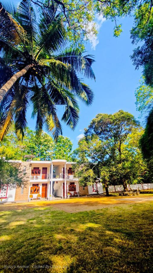 Hotel Jay'S Avenue Udawalawe Exterior foto